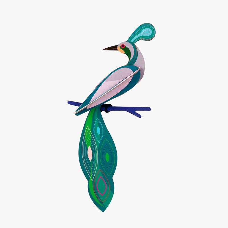 Oiseau paradisiaque Fidji