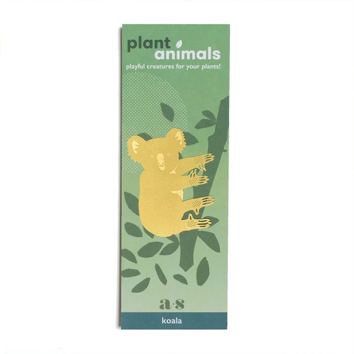 Animal para Plantas Koala