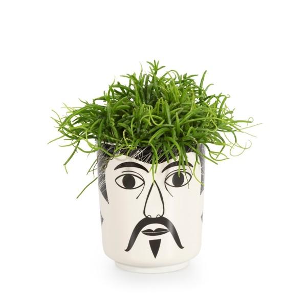 Jar / Planter Mr. Walsh